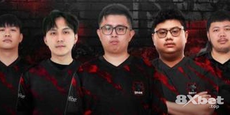 8xbet - mansion88 link